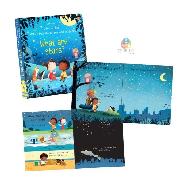 Usborne The Why Series - Discover the World